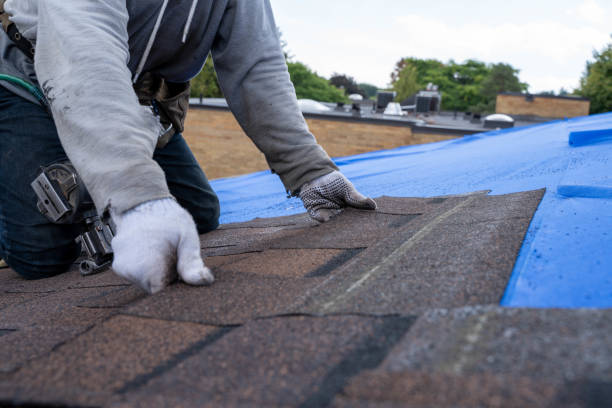 Roof Gutter Cleaning in Ray City, GA
