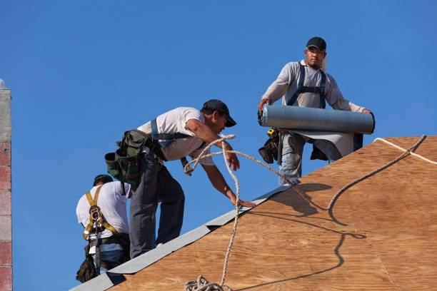 Best Roof Maintenance Services  in Ray City, GA