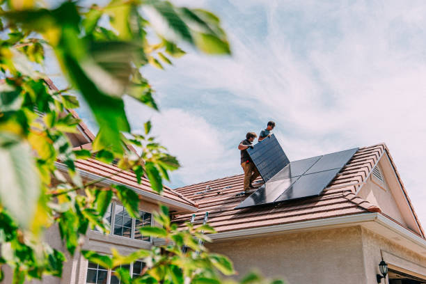 Best Roof Gutter Cleaning  in Ray City, GA