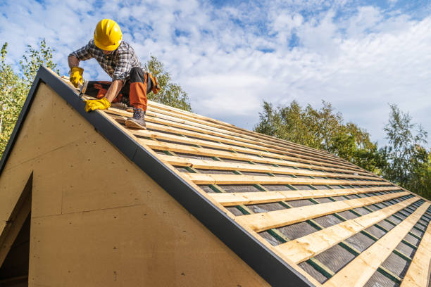 Best Storm Damage Roof Repair  in Ray City, GA